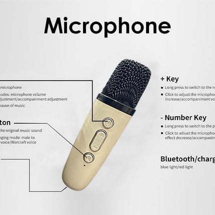 Swadeshi World Karaoke Machine for Kids Adults, Mini Portable Blue-Tooth Karaoke Speaker with Wireless Microphone and Dynamic Lights Birthday Gift